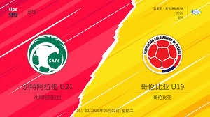 世界杯期间如何选择安全购彩平台